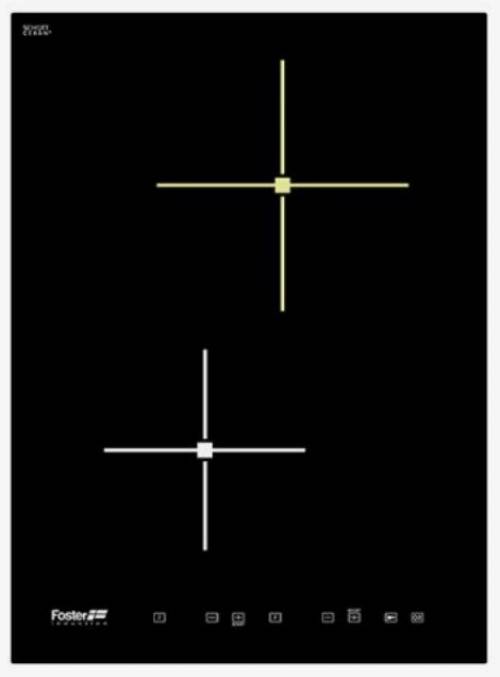 FOSTER 7322240 piano induzione domino 2 zone